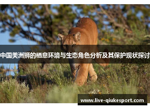 中国美洲狮的栖息环境与生态角色分析及其保护现状探讨